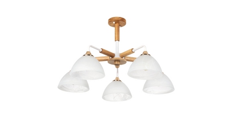 Люстра на штанге Arte Lamp Matthew A5032PL-5BR