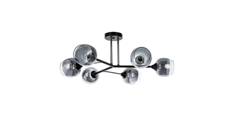 Люстра на штанге Arte Lamp Salm A3580PL-6BK