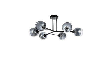 Люстра на штанге Arte Lamp Salm A3580PL-6BK