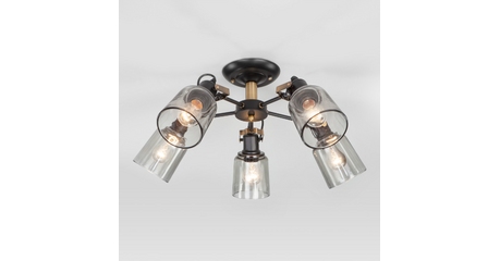 Люстра на штанге Eurosvet 70111/5 черный