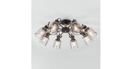 Люстра на штанге Eurosvet 70111/8 черный