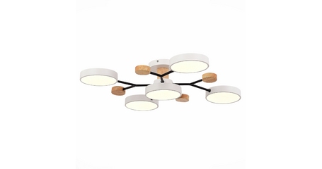 Люстра на штанге Evoluce Faema SLE6006-502-05