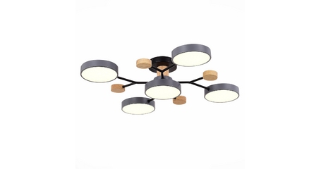 Люстра на штанге Evoluce Faema SLE6006-702-05