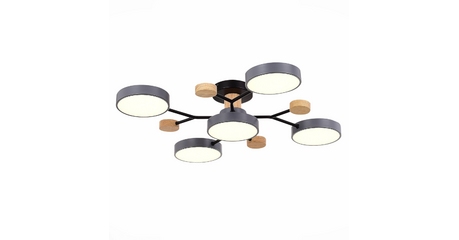 Люстра на штанге Evoluce Faema SLE6006-702-05