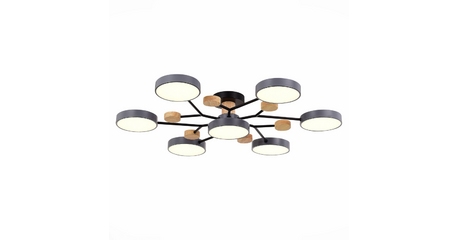 Люстра на штанге Evoluce Faema SLE6006-702-07