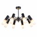 Люстра на штанге F-Promo 2558-8P