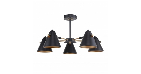 Люстра на штанге F-Promo Rigor 2844-5P