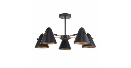 Люстра на штанге F-Promo Rigor 2844-5P