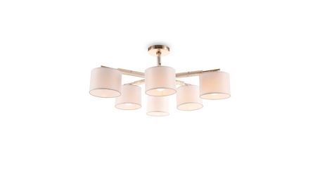 Люстра на штанге Freya Pipe FR5386CL-06G