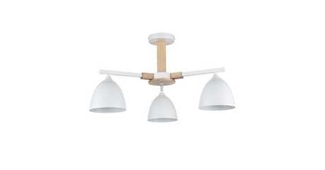 Люстра на штанге Lumion Colange 8095/3C