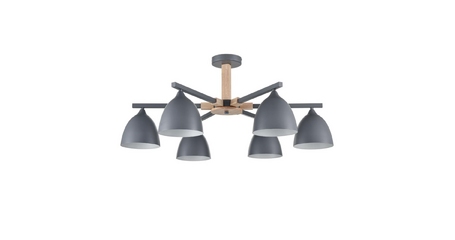 Люстра на штанге Lumion Colange 8096/6C