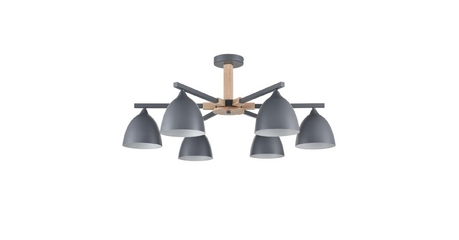 Люстра на штанге Lumion Colange 8096/6C