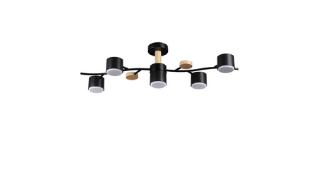 Люстра на штанге Lumion Crypto 8194/5C