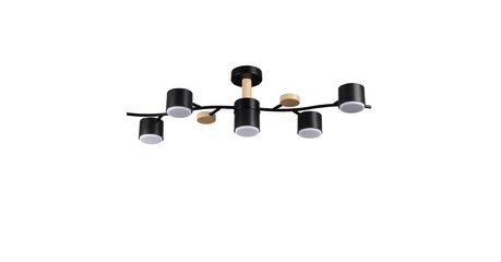 Люстра на штанге Lumion Crypto 8194/5C