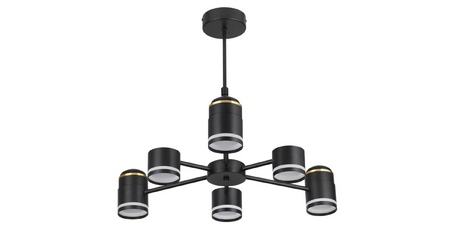 Люстра на штанге Lumion Virsava 8234/6C