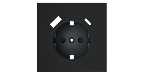 Накладка для розетки с заземлением и защитными шторками, с USB A+C Voltum S70 (графит) VLS001007