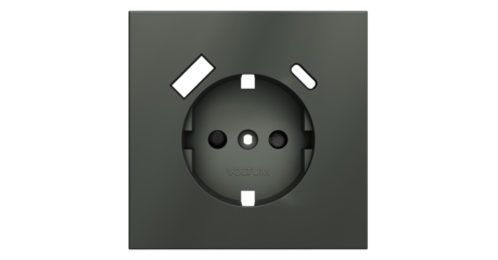 Накладка для розетки с заземлением и защитными шторками, с USB A+C Voltum S70 (титан) VLS001006