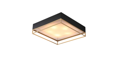 Накладная люстра ST-Luce SL1127.422.05