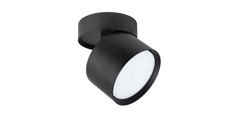 Накладной спот Arte Lamp Intercrus A5549PL-1BK