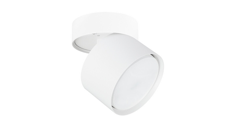 Накладной спот Arte Lamp Intercrus A5549PL-1WH