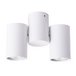 Накладной светильник ARTE Lamp A1511PL-2WH