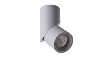 Накладной светильник ARTE Lamp A7717PL-1GY