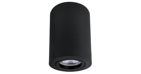 Накладной светильник Arte Lamp Sentry A1566PL-1BK