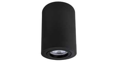 Накладной светильник Arte Lamp Sentry A1566PL-1BK