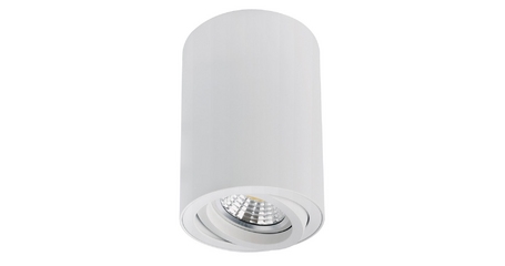 Накладной светильник Arte Lamp Sentry A1566PL-1WH