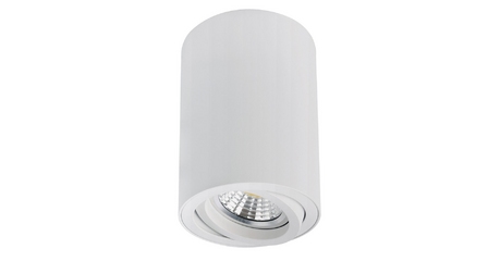 Накладной светильник Arte Lamp Sentry A1566PL-1WH