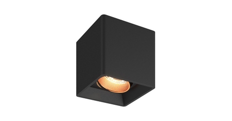 Накладной светильник Denkirs Dk3030 DK3080-BBR