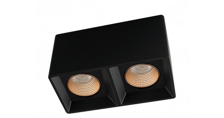 Накладной светильник Denkirs DK3085-BK+BR