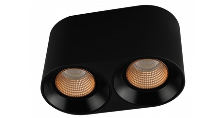 Накладной светильник Denkirs DK3096-BK+BR