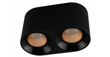 Накладной светильник Denkirs DK3096-BK+BR