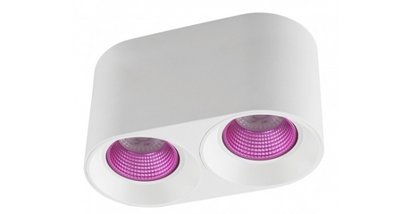 Накладной светильник Denkirs DK3096-WH+PI