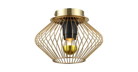 Накладной светильник Lussole Loft Brooks LSP-8248