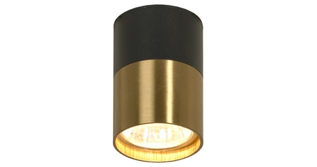 Накладной светильник Lussole LSP-8555