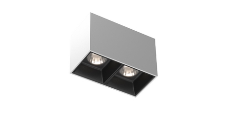 Накладной светильник Maytoni Alfa LED C065CL-02-L12W4K-W