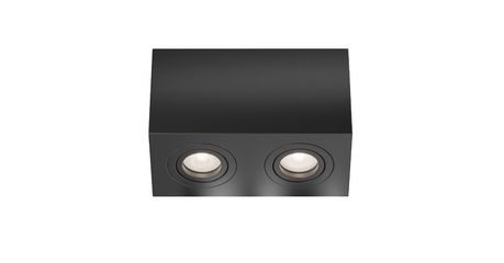 Накладной светильник Maytoni Atom C017CL-02B