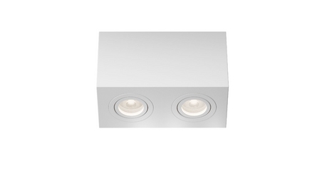 Накладной светильник Maytoni Atom C017CL-02W