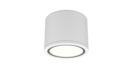 Накладной светильник Maytoni Rendo C095CL-GX53-W