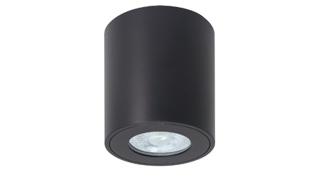 Накладной светильники Arte Lamp Tino A1469PL-1BK