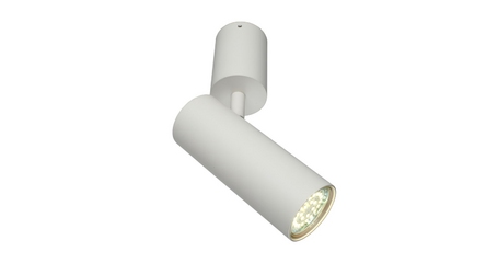 Настенно-потолочный светильник Aployt Berenis APL.007.02.01