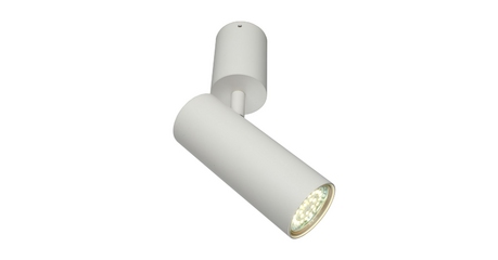 Настенно-потолочный светильник Aployt Berenis APL.007.02.01