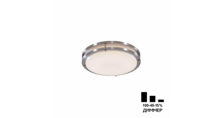 Настенно-потолочный светильник Citilux Бостон CL709201N