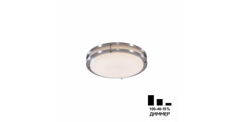 Настенно-потолочный светильник Citilux Бостон CL709201N