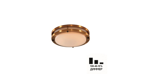 Настенно-потолочный светильник Citilux Бостон CL709203N