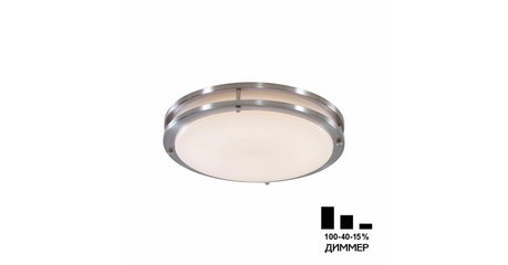 Настенно-потолочный светильник Citilux Бостон CL709321N