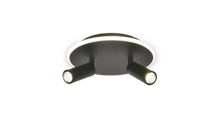 Настенно-потолочный светильник Escada 20046SMA/02LED BK