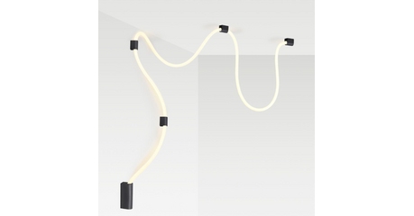 Настенно-потолочный светильник Odeon Light Corda 4391/30CL